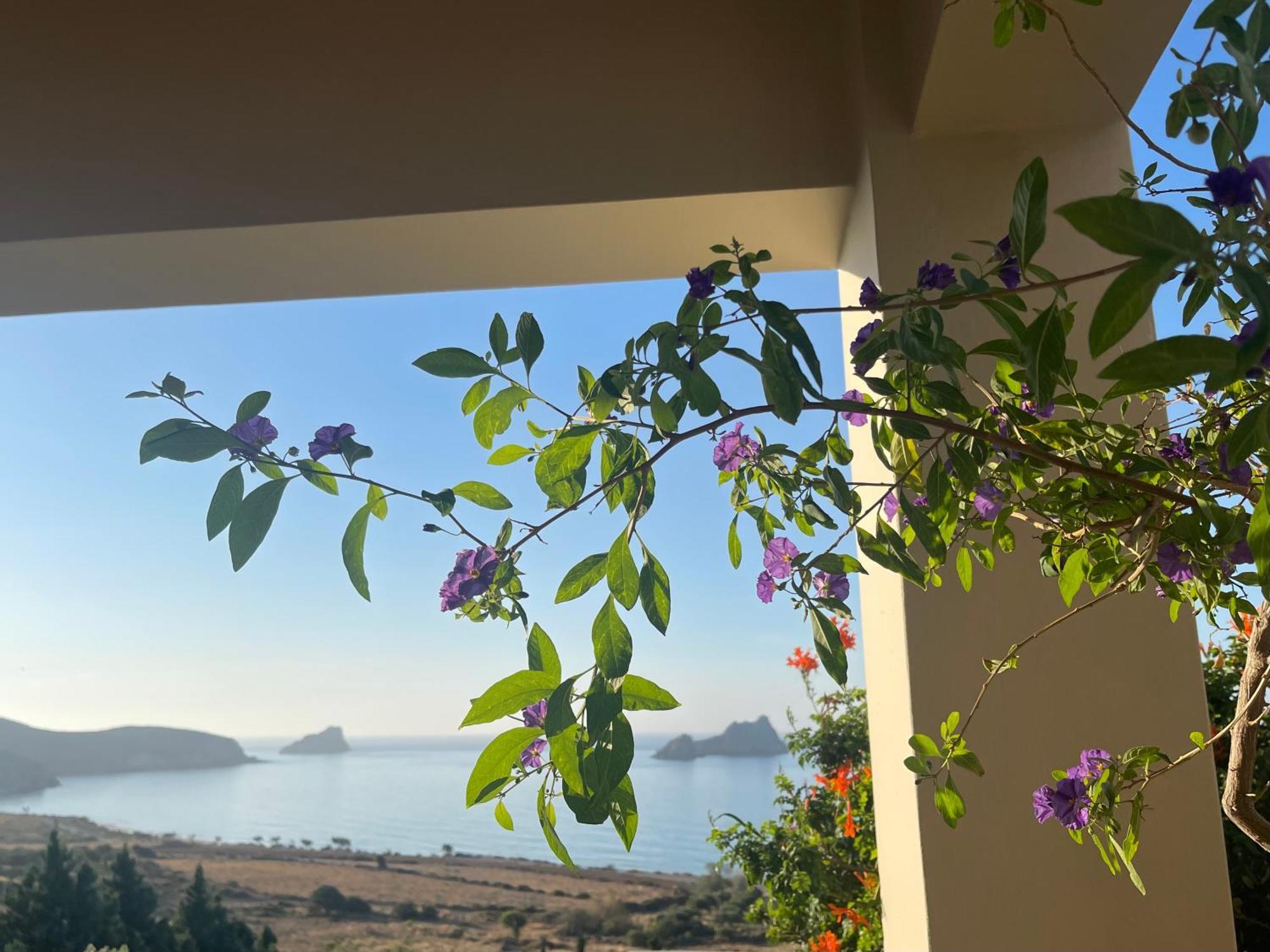 Natica Mare Villas Ксерокампос Екстериор снимка