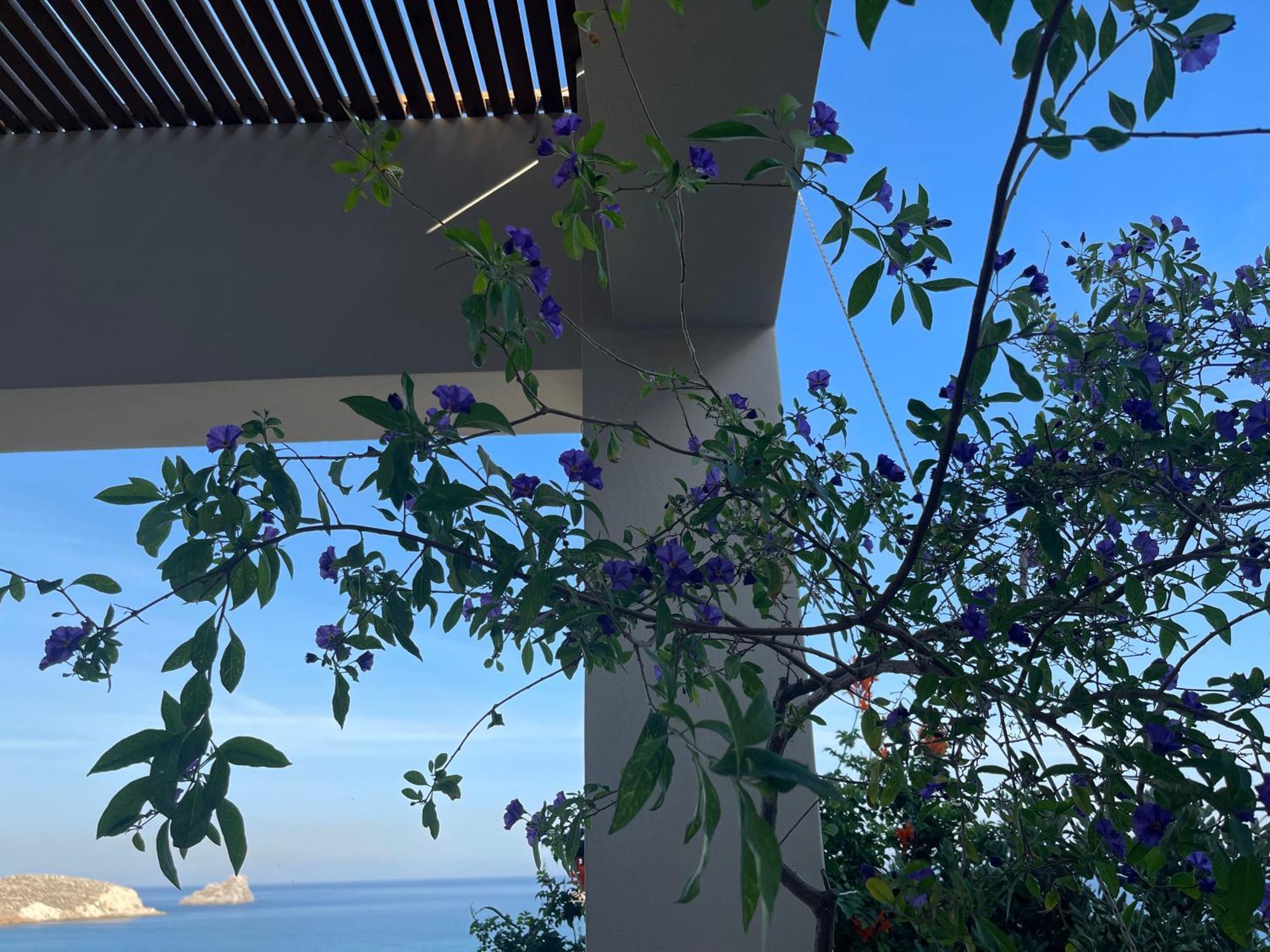 Natica Mare Villas Ксерокампос Екстериор снимка